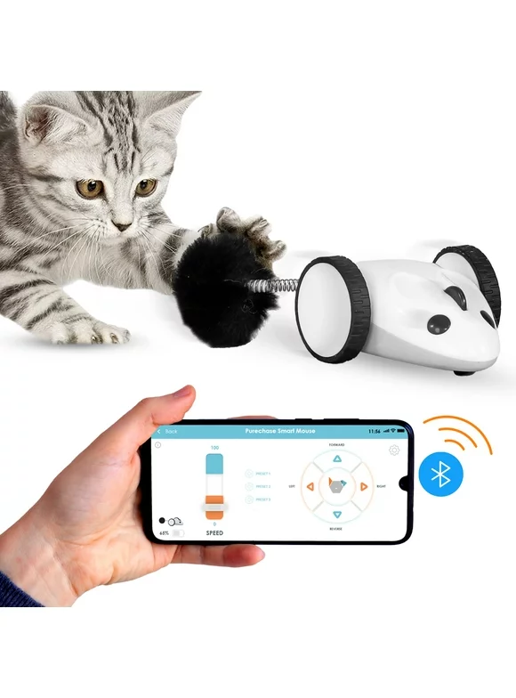Instachew Purechase Smart Cat Toy, Interactive Automatic Mouse shaped Toy for Pets, App Enabled with Adjustable Speed, Flip Modes, Replaceable Plush Tail and USB Charging for Kittens and Dogs